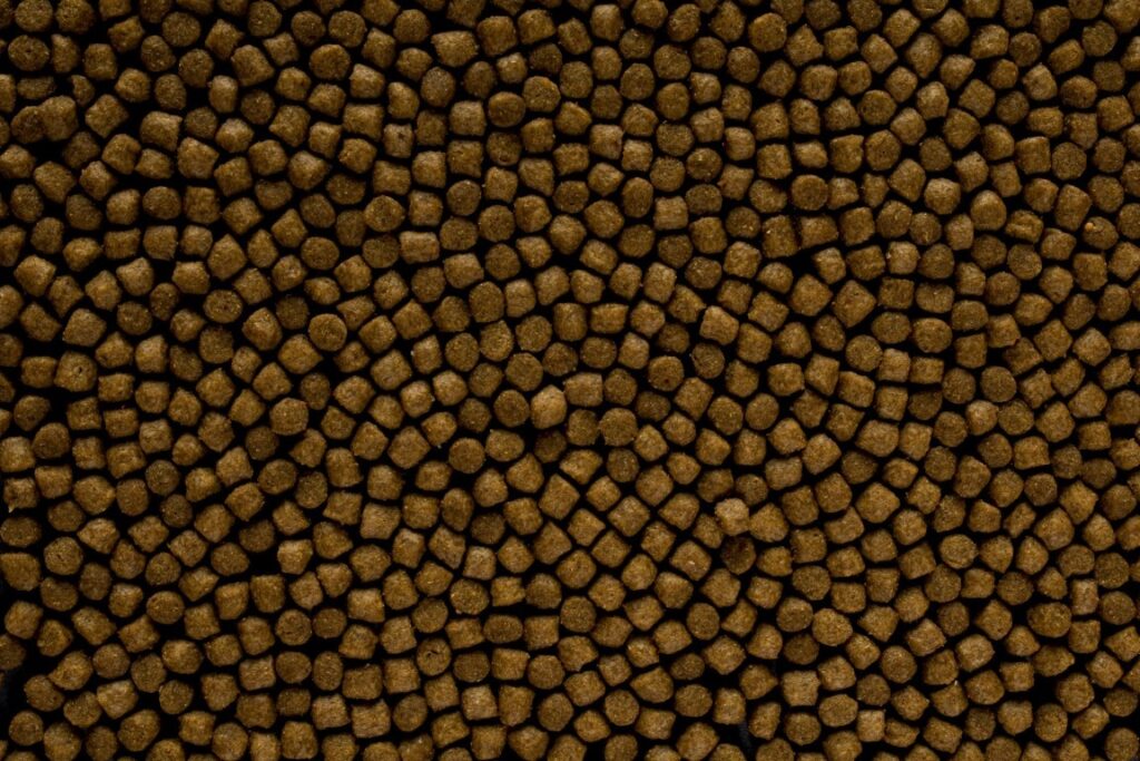 Highly productive fish feed