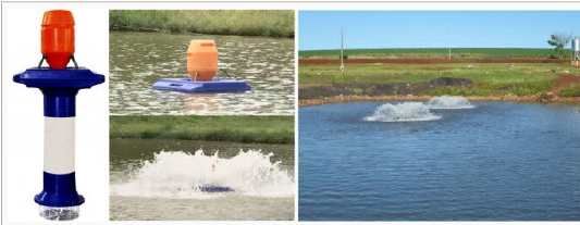 Vertical pumps (fountain type aerators) can be used with expanded 200 mm PVC pipes. The length of the pipes is determined by the depth of the pond. The extended pipes allow the circulation/movement of the bottom water, and its gradual replacement by the surface water moving downwards. The implementation of these measures during the time of maximum photosynthesis allows the fish farmers to minimize the vertical stratification of the water in the pond. Photo: AndrèNascimento and Fernando Kubitza.