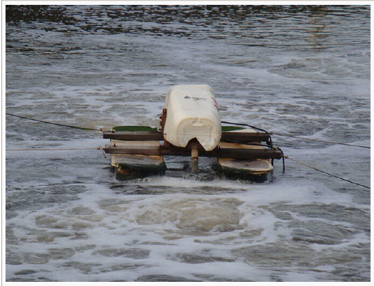 Fig. 7: Bilateral vane suction pump (2 hp per impeller), which is used to improve mixing of the water in the pond. The impeller pushes the surface water down without excessive disturbance of the surface, resulting in minimal oxygen loss of the supersaturated oxygenated surface water. Photo: Fernando Kubitza. width=