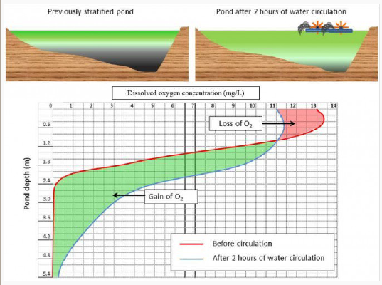 Fig. 4: Profile of dissolved oxygen content from the surface to the bottom in a pond with steep slopes before and after circulation 2-hour circulation of an area of 0.84 ha using a vane circulator with a power of 2 hp (4.76 hp/ha) from 12:00 to 14:00 (author's field observations). However, the oxygen concentration at a depth of 1 m is almost 7 times greater than the oxygen loss in the surface layers (red zone). Fig. width=