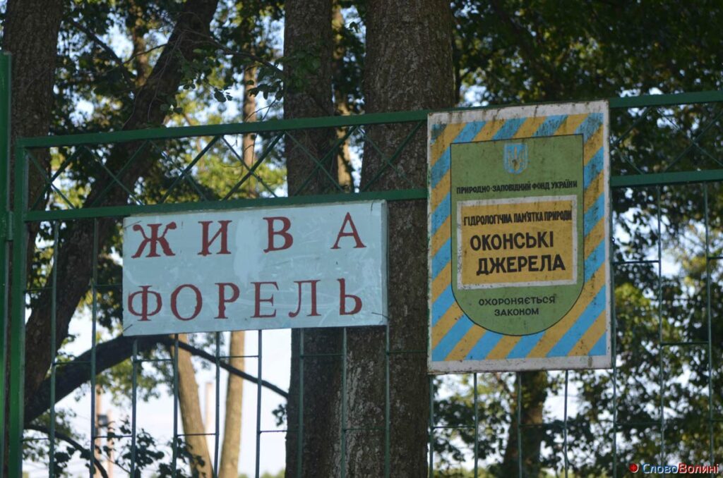 Вирощування форелі на Волині