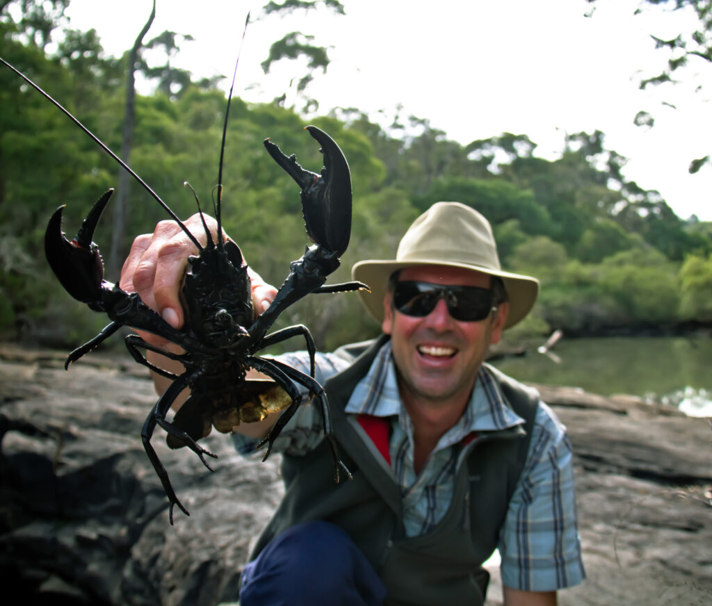 Гігантський маррон