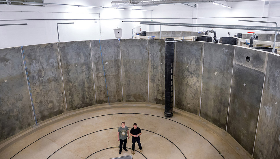 Mihal Kovalsky, Deputy Director of Cultivation, and Yaroslav Chyzh, fish breeder-technologist, stand in the center of the fish tank