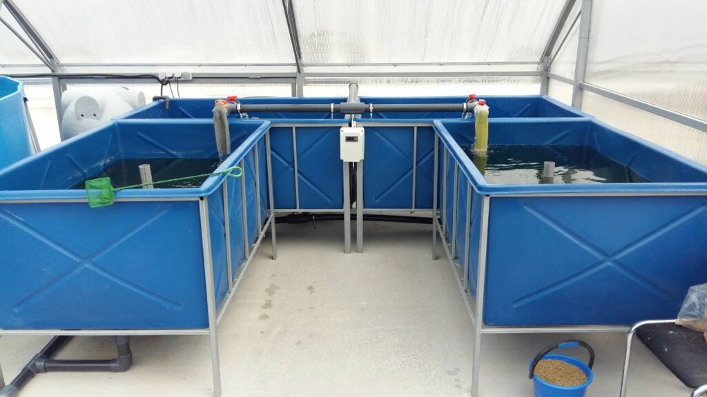 Мальковий модуль