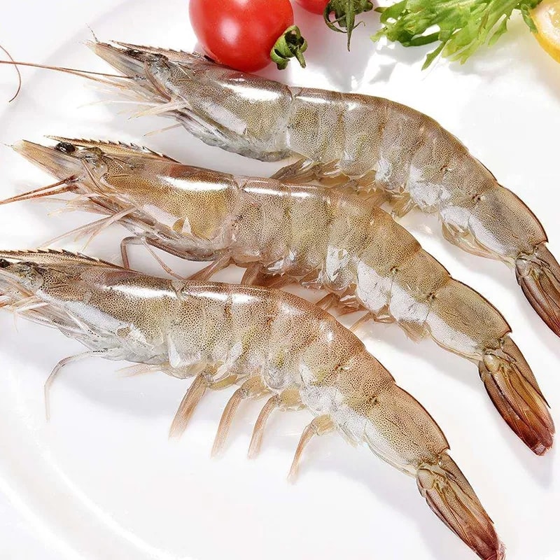 Очікується, що в 2021 році Іран виростить 60 000 тон креветок ваннамей