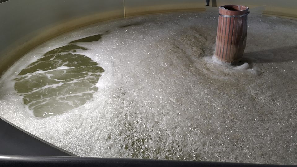 Креветкова ферма в Литві