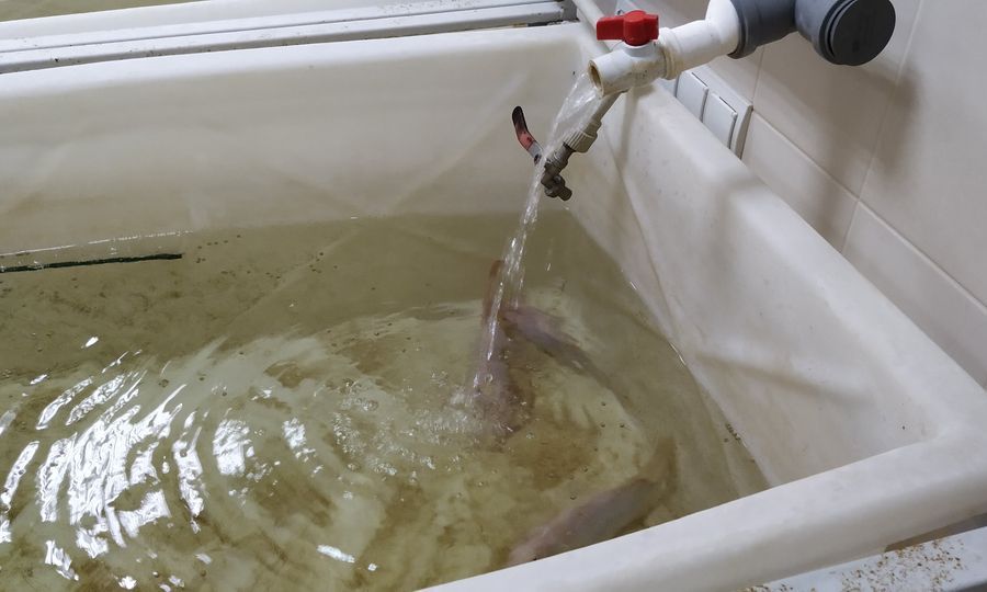 Модернізація РАС для наукових цілей